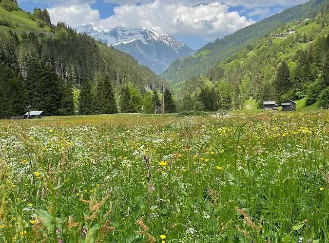 Apartment Aliprandi *